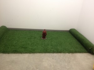 a fire hydrant on a green grass field